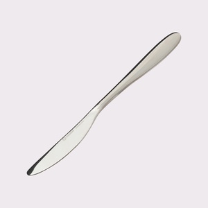 Francfranc Standard DINNER KNIFE MIRRORTYPE